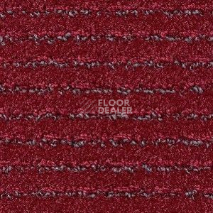 Ковролин Radici Painstripe Rubino 2722 фото 1 | FLOORDEALER